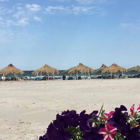Alma Mamaia