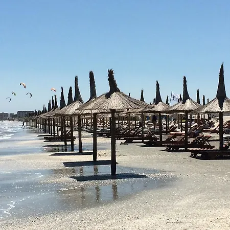 Alma Mamaia